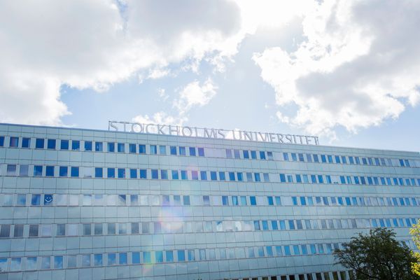 Svenska universitet måste sätta ner foten mot aktivisterna