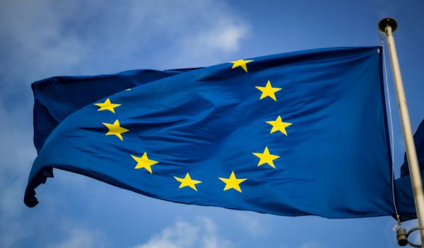 Sveriges miljardkostnad till EU – är det verkligen rimligt?